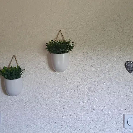 Apartment Le 3 Vues *